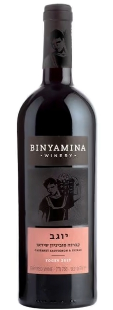 Красное вино Yogev Cabernet Sauvignon & Shiraz 0.75L 14%